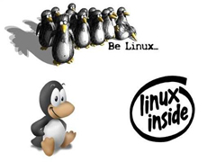 mkdir命令在Linux中的应用