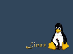 学会在linux系统中使用工具转换文件的字符集编码