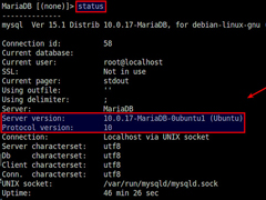 Linux系统怎么查看MariaDB服务端的版本