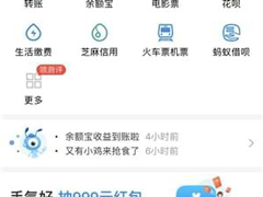 支付宝如何隐藏金额 支付宝隐藏金额的方法