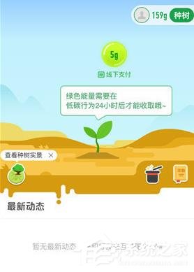 支付宝怎么在线上查看种树 支付宝查看种树的操作介绍