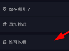 抖音怎么设置私密视频 抖音设置私密视频教程