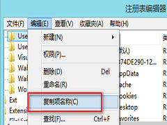 Win8如何快速复制注册表编辑器某个项的完整地址