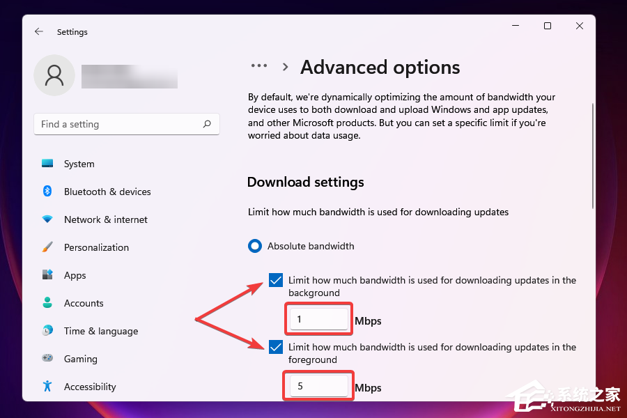 更新到win11后网速变慢了