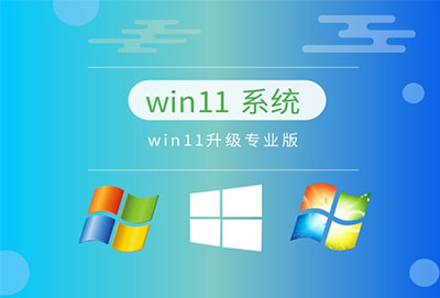 个人使用装win11哪个版本(win11直接安装win10)