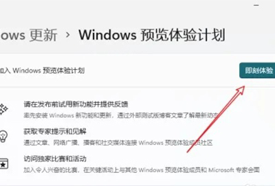 win12内测申请