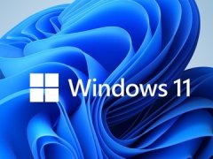 Win11专业工作站版怎么样？Win11专业工作站版和专业版的区别