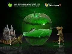 青苹果Windows XP SP3 通用专业版 V2021.09