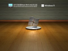 技术员联盟 Ghost Win11 64位 稳定装机版 V2022.02