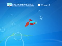 电脑公司 Ghost Win11 64位 快速装机版 V2022.03