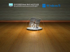 技术员联盟 Ghost Win11 64位 专业版 V2021.11