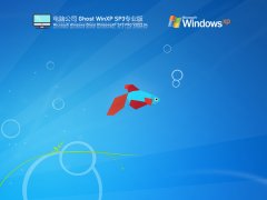 电脑公司 Ghost WinXP SP3 特别专业版 V2022.04