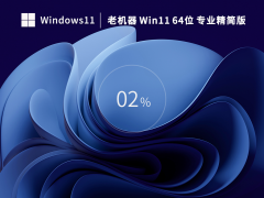 【老机专用】Win11 22H2 64位 专业精简版（绕过检测） V2023.03